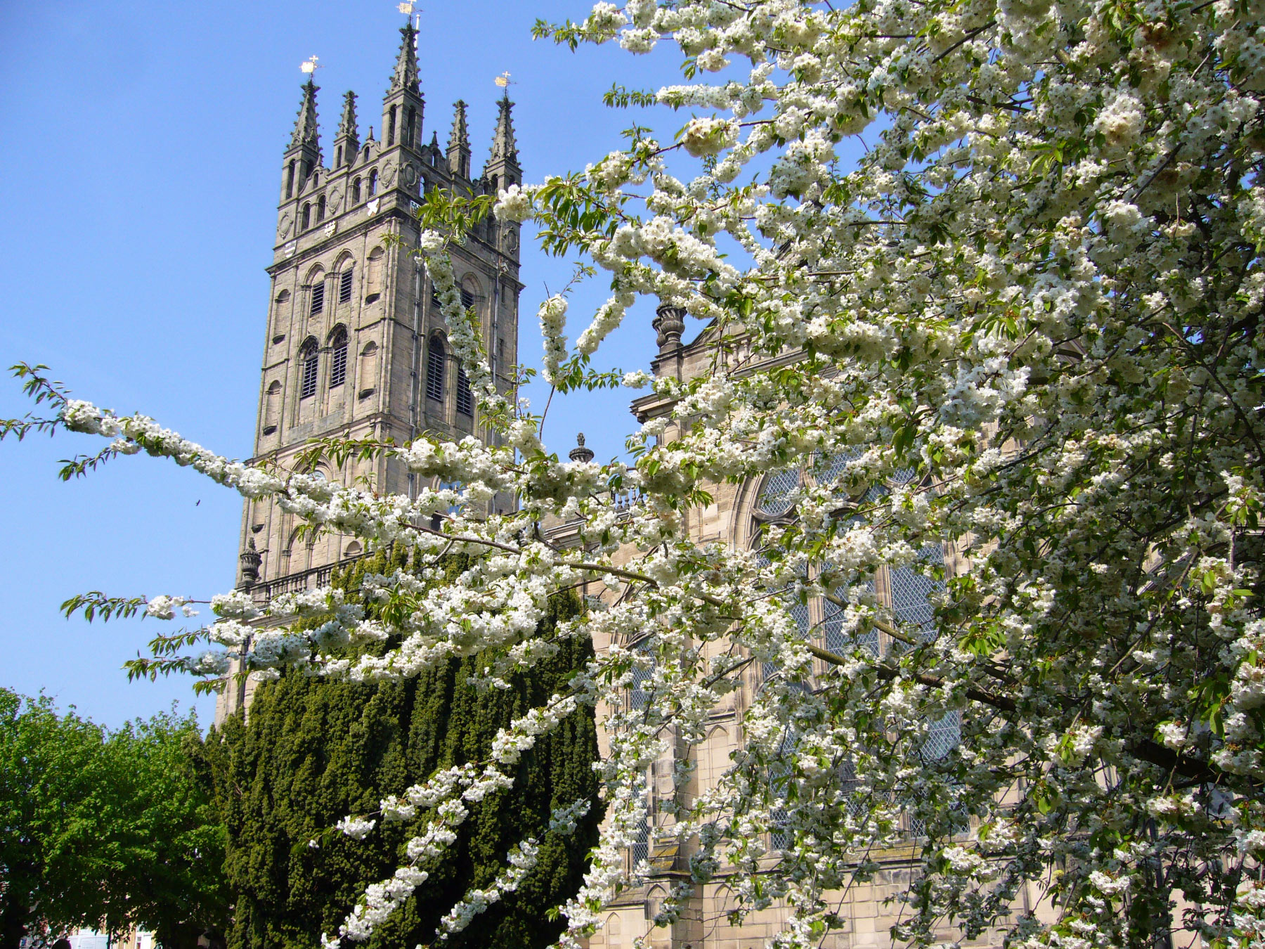 Warwick